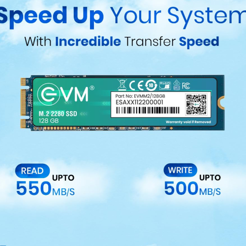 EVM 128GB M.2 (2280) SATA Internal SSD - 520MB/s Read &amp; 370MB/s Write - 5-Year Warranty (EVMM2/128GB)
