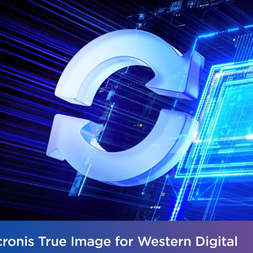 Western Digital WD Blue SN580 PCIe Gen 4 NVMe SSD Internal Storage, 500GB