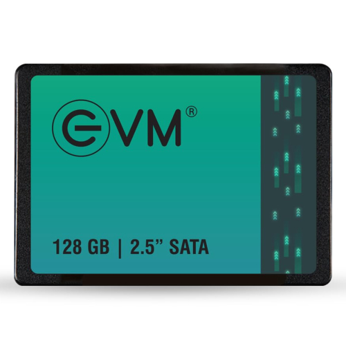 EVM 128GB 2.5-Inch SATA Internal SSD - 550MB/s Read &amp; 500MB/s Write - 5-Year Warranty (EVM25/128GB)