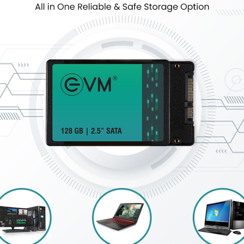EVM 128GB 2.5-Inch SATA Internal SSD - 550MB/s Read &amp; 500MB/s Write - 5-Year Warranty (EVM25/128GB)