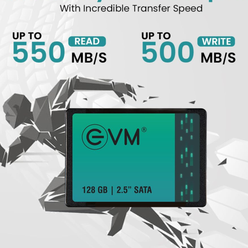 EVM 128GB 2.5-Inch SATA Internal SSD - 550MB/s Read &amp; 500MB/s Write - 5-Year Warranty (EVM25/128GB)